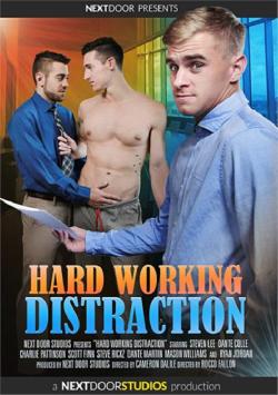 Hard Working Distraction - DVD Next Door