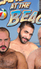 Click to see product infos- Bears at the Beach - DVD BearFilms